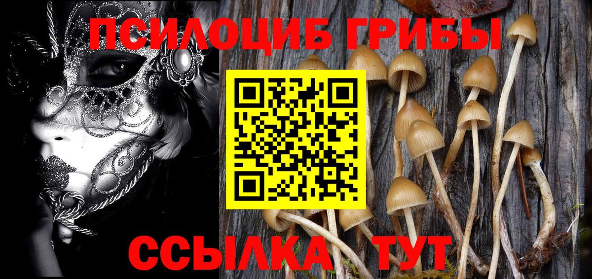 Псилоцибиновые грибы GOLDEN TEACHER  Псилоцибиновые грибы мухоморы  Каменка  Вход с VPN 