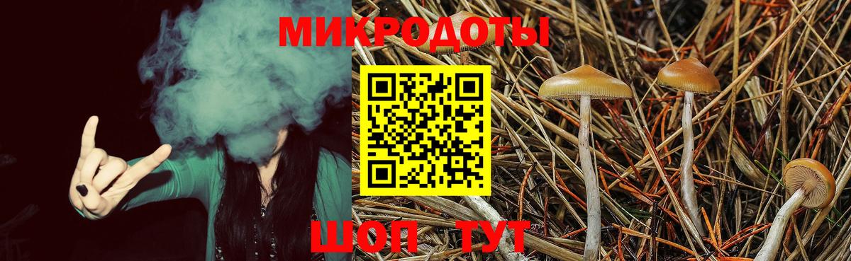 Псилоцибиновые грибы GOLDEN TEACHER Каменка